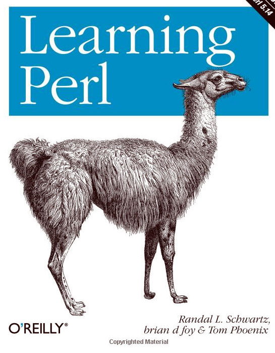 perl book